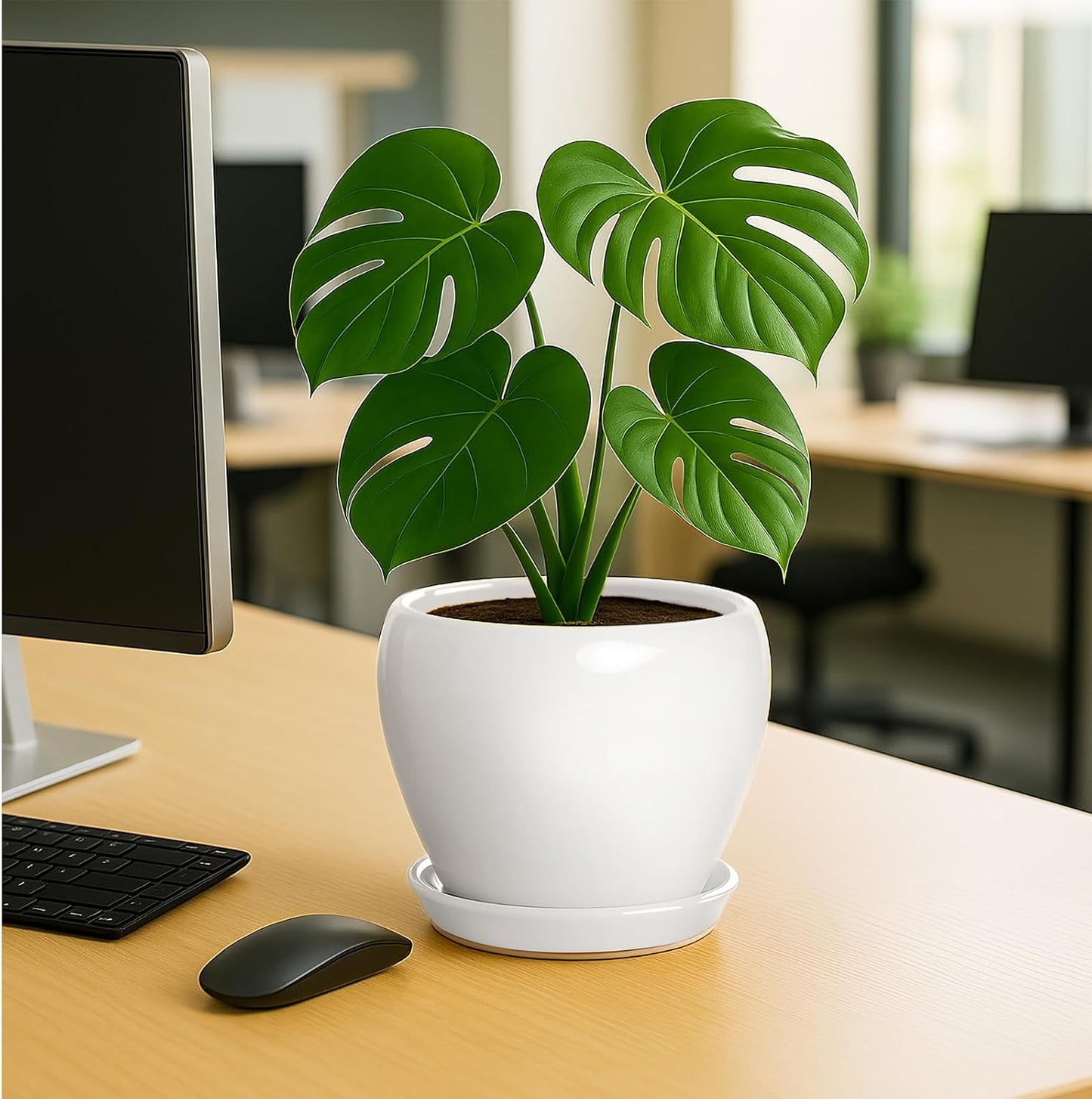 Deep Dream 8 Inch Plant Pot - Ceramic Planter with Drainage Hole and Trays, Modern Round Flower Pot, Planters for Indoor Outdoor Plants, Home Garden Decor, White