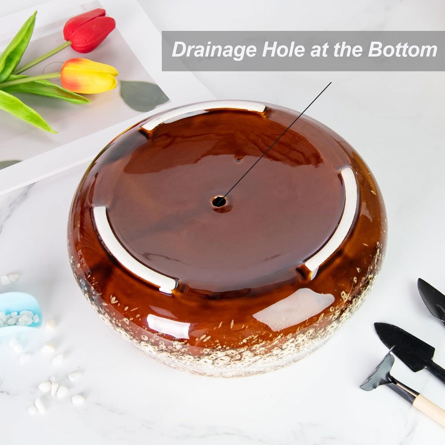 ARTKETTY Succulent Pots - 8 Inch Plant Pot, Large Bonsai Pots with Drainage, Ceramic Planters for Indoor Outdoor Plants, Round Shallow Cactus Flower Plant Container Bowl Decorative Home Garden