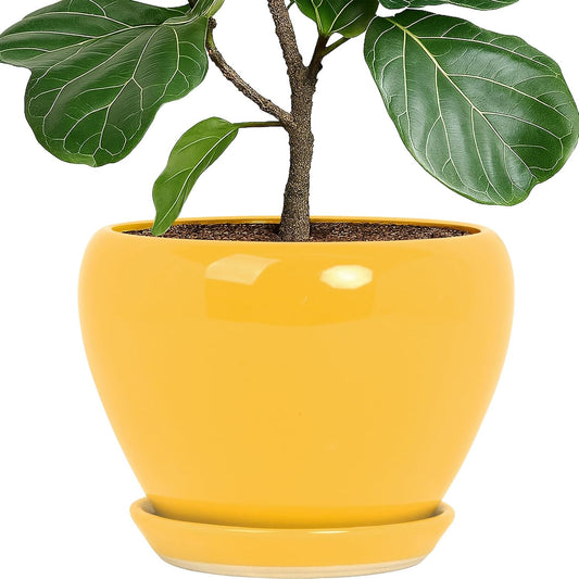 Deep Dream 10 Inch Plant Pot- Ceramic Planter Pot Round Plant Pots for Indoor Plants Outdoor Large Flower Pot with Drainage Holes & Trays, Yellow
