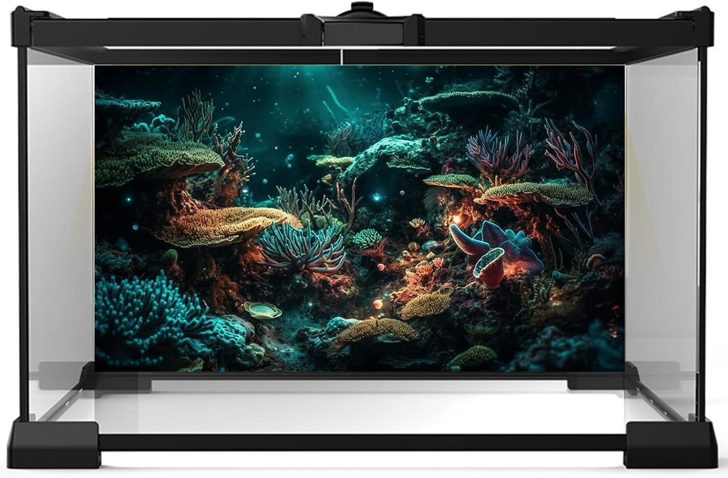 Aquarium Background Colorful Picturesque Coral Reef Terrarium Background Tropical Sea Various Hard Corals Underwater Landscape Fish Tank Backdrop Aquarium Poster Background Vinyl 36x18in