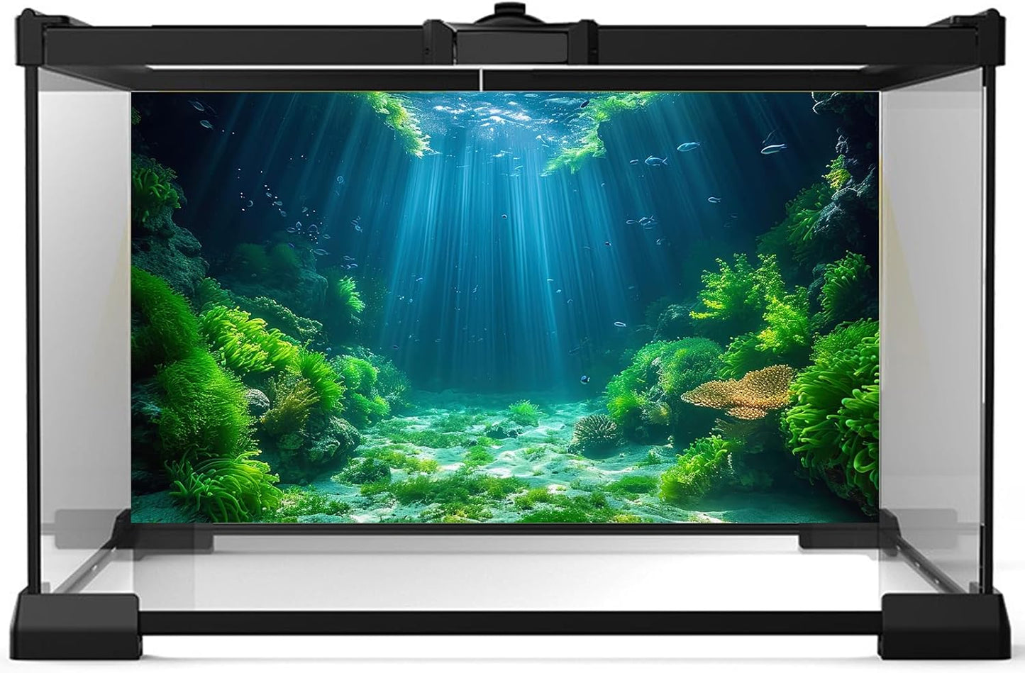 Aquarium Background Aquatic Plants Soft Algae Terrarium Backdrop Underwater World Fish Rock with Moss Sunlight Rays Fish Tank Background Aquarium Wallpaper Poster Decor Vinyl 48x24in