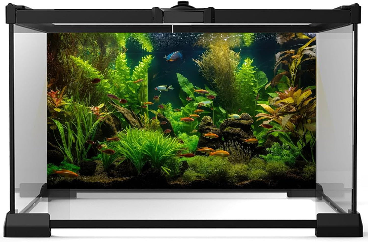Aquarium Background Tropical Freshwater Colorful Fish Plants Fish Tank Background Tranquil Under The Sea Aquatic Plants Cork Redwood Root Lush Green Moss Reptile Tank Terrarium Background 72x18in
