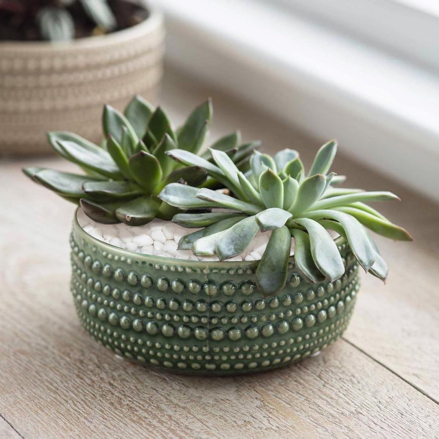 15lbs White Rocks, 3/8 Inch Small White Pebbles for Plants, Vase, Garden, Decorative Pea Gravel for Landscaping, Polished