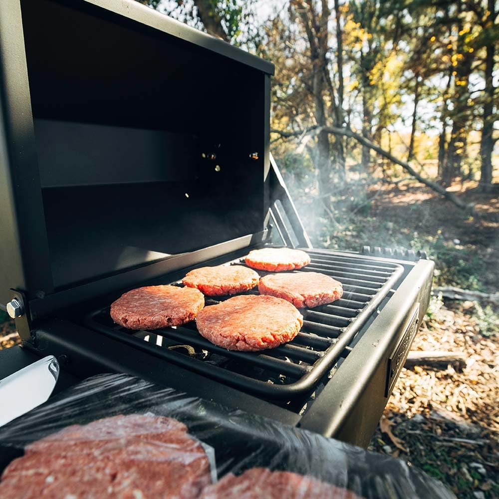 Ash & Ember Park-Style Grill/Smoker, 260 Sq In Charcoal Grill with Cover, 17.5"x11.5" Grate, Side Shelf for Food Prep, Single Post Permanent Park-Style Grill for Outdoor Backyard BBQ