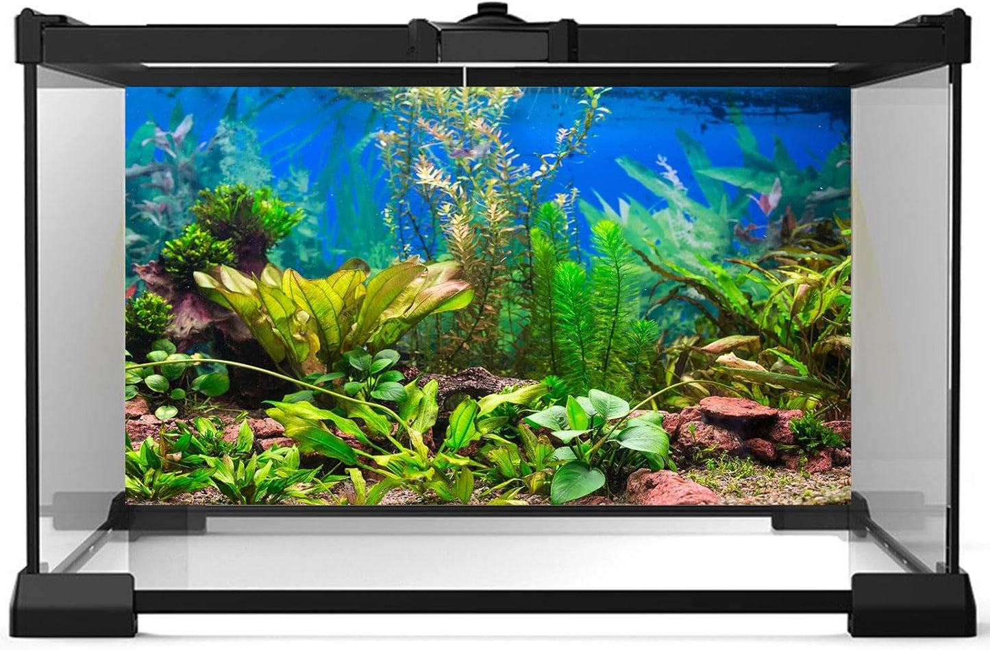 Aquarium Background Various Underwater Grass Plants Aquarium Backdrop Vivid and Fresh Green Aquatic Plants Stone River Bed and Dead Wood Purple Stone Fish Tank Background 72x18in