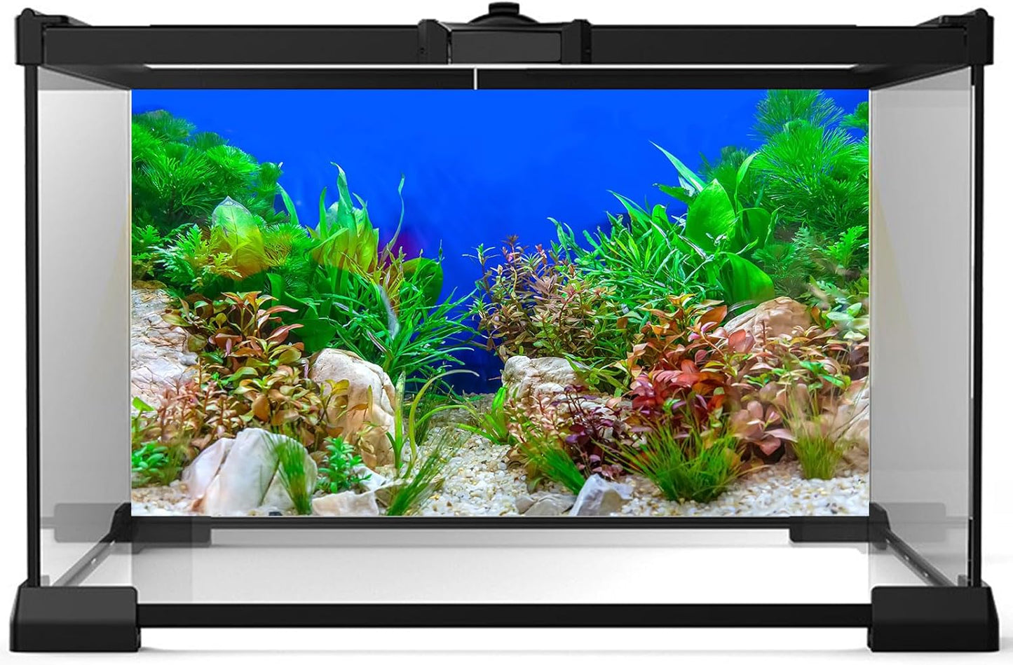 Green Aquatic Plant Aquarium Background Stone River Bed and Lake Terrarium Background Decor Underwater Grass Leaves with Pebble Aquarium Backdrop Perfect Fish Tank Decors Vinyl 48x18in