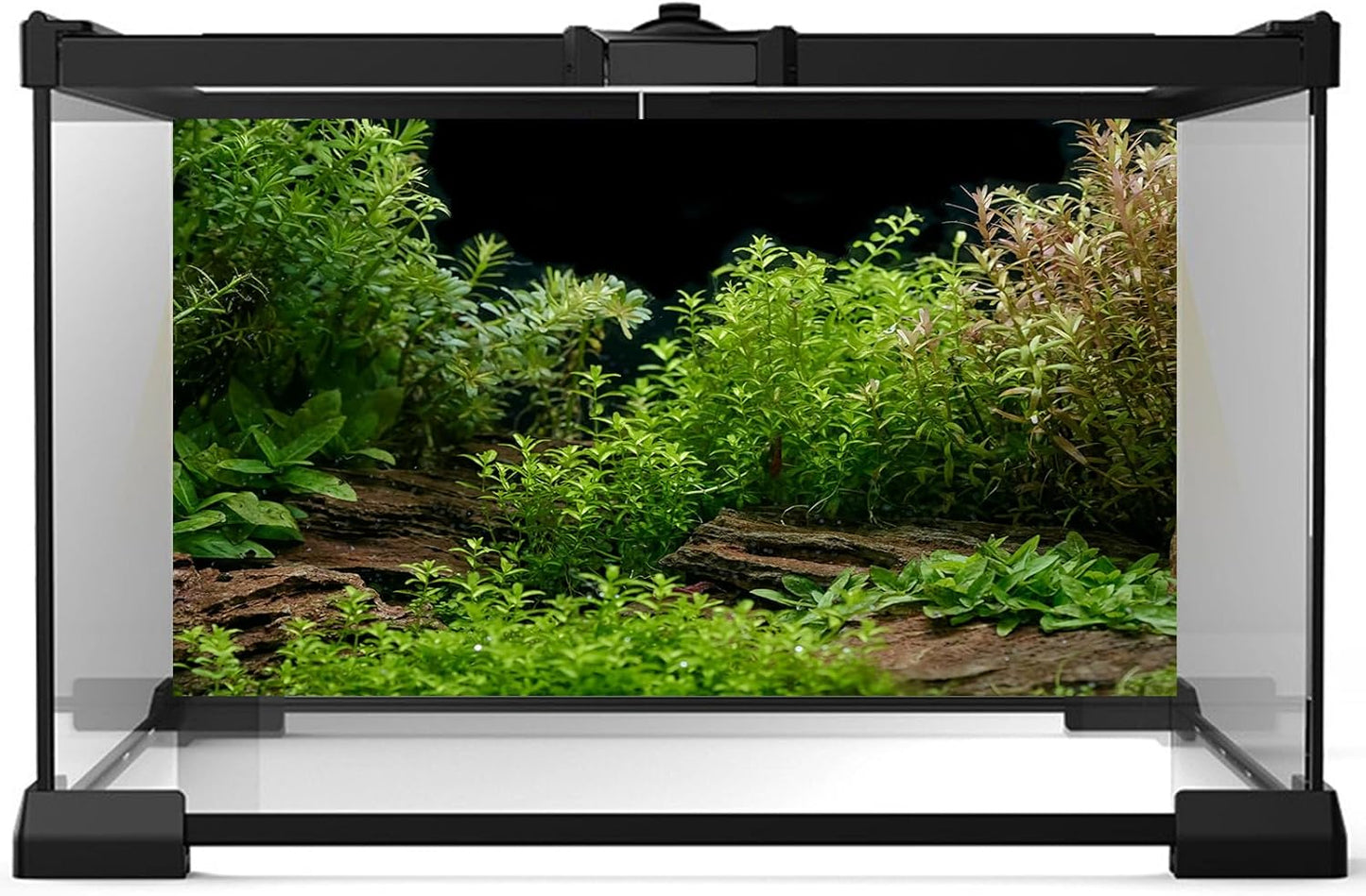 Aquarium Background Underwater Green Grass Leaves Stone Aquarium Backdrop Vivid and Fresh Green Aquatic Plant Stone River Bed and Lake Fish Tank Background Decor Vinyl 60x24in