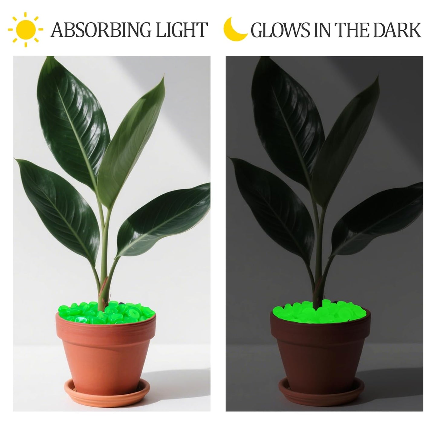 2.1LB 25-27mm Green Glow in The Dark Rocks Outdoor Decorative Stones Luminous Pebbles Glow Stones for Patio Landscaping Walkway Driveway Large Glowing Stones Garden Stones