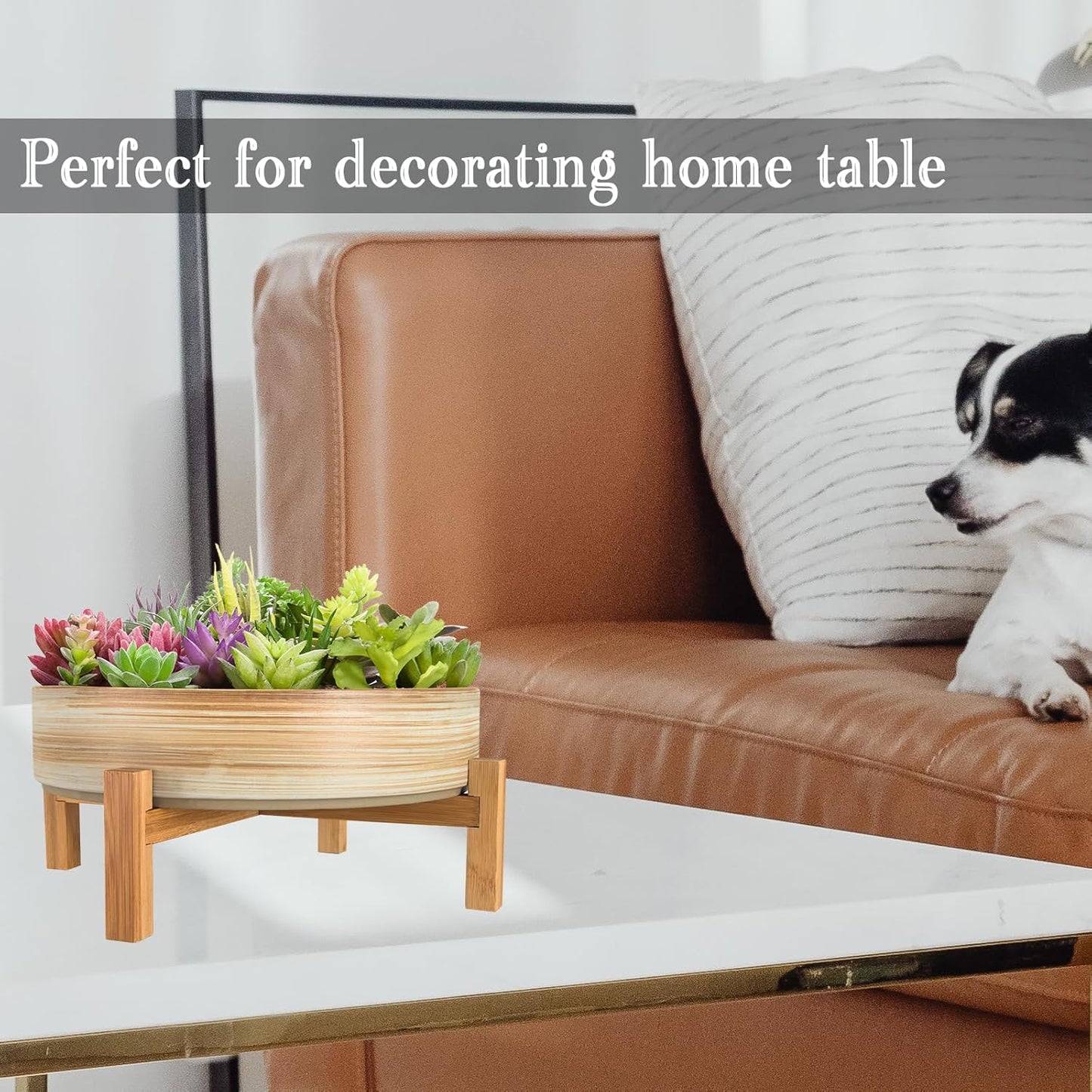 ARTKETTY Succulent Pots - 11 Inch Large Plant Pots Ceramic Bonsai Pots with Drainage Stand, Shallow Succulent Planters for Indoor Plants Decorative Flower Cactus Planter Bowl