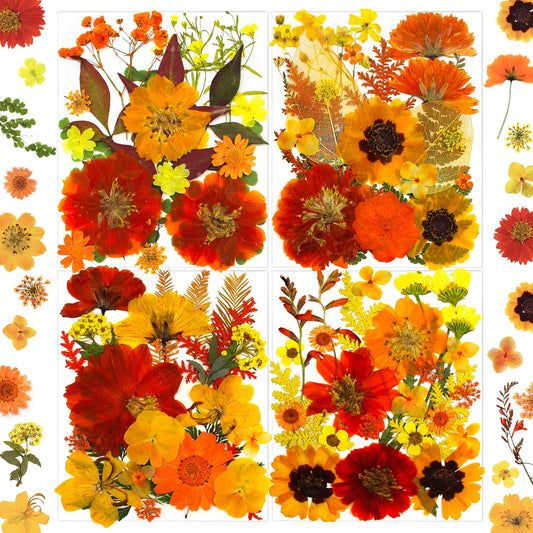 90Pcs Fall Pressed Dried Flowers for Resin, Real Assorted Autumn Natural Bulk Orange Dry Floral Leaves for DIY Art Crafts, Epoxy Molds, Jewelry, Soap, Candle Making