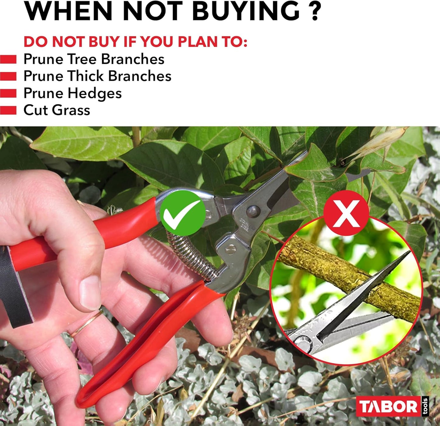 TABOR TOOLS Pruning Shears, Florist Scissors, Multi-Tasking Garden Snips for Arranging Flowers, Trimming Plants and Harvesting Herbs, Fruits or Vegetables. K17A. (Straight, Stainless Steel Blades)