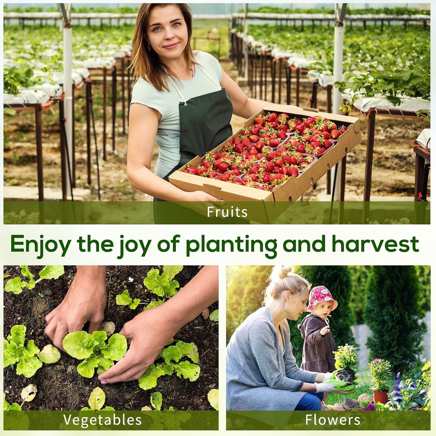 Outsunny 6' x 3' x 3' Mini Greenhouse with Zippered Doors & Roll-up Windows, Portable Plant Hot House with Durable PE Cover, Water Resistant, UV Protected for Outdoor Flowers, Vegetables, Green