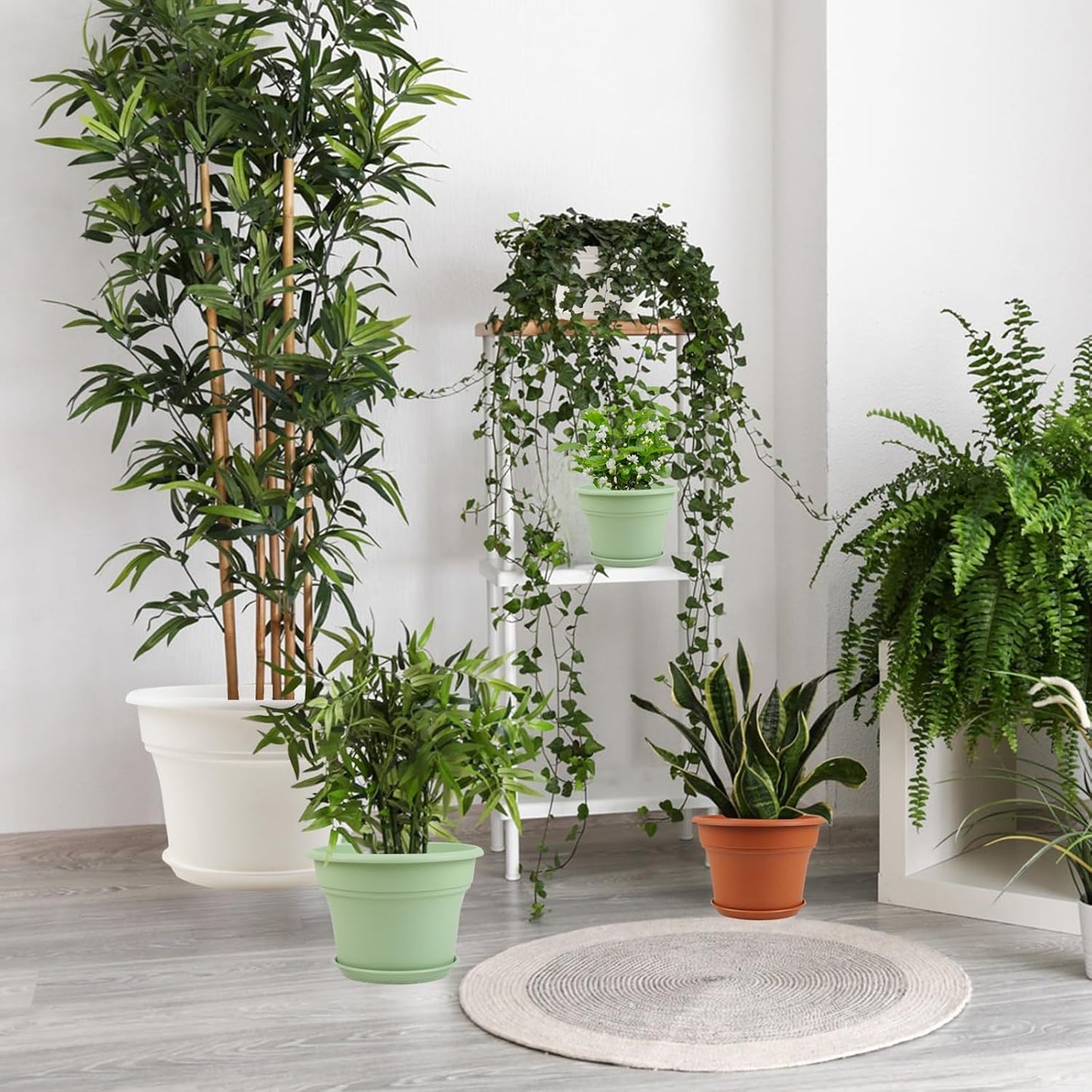 6 Inch Plastic-Flower Pot-for-Indoor Plants, 6 Pack Outdoor Plant Pots with Drainage Holes & Saucers, Resin Garden Pots Planters