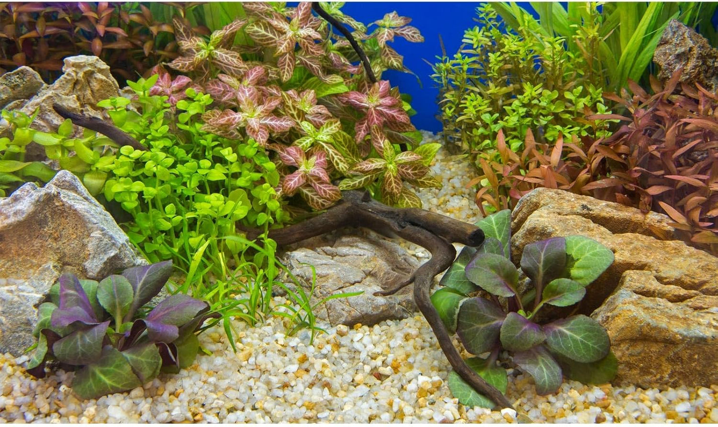 Aquarium Background Various Underwater Grass Plants Aquarium Backdrop Vivid and Fresh Green Aquatic Plants Stone Pebble River Bed and Dead Wood Purple Leaves Tank Background Vinyl 48x18in