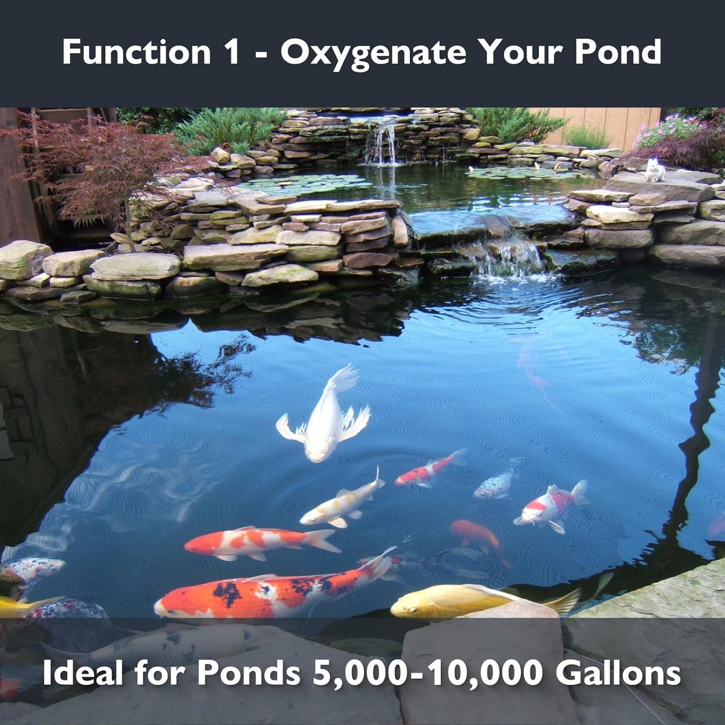 AquaMiracle Koi Pond Aerator Pond Air Pump for Outdoor Ponds 5000-10000 Gallons, All-in-One Aeration Kit with Self-Sinking Airline Flow Control Rubber Air Diffuser