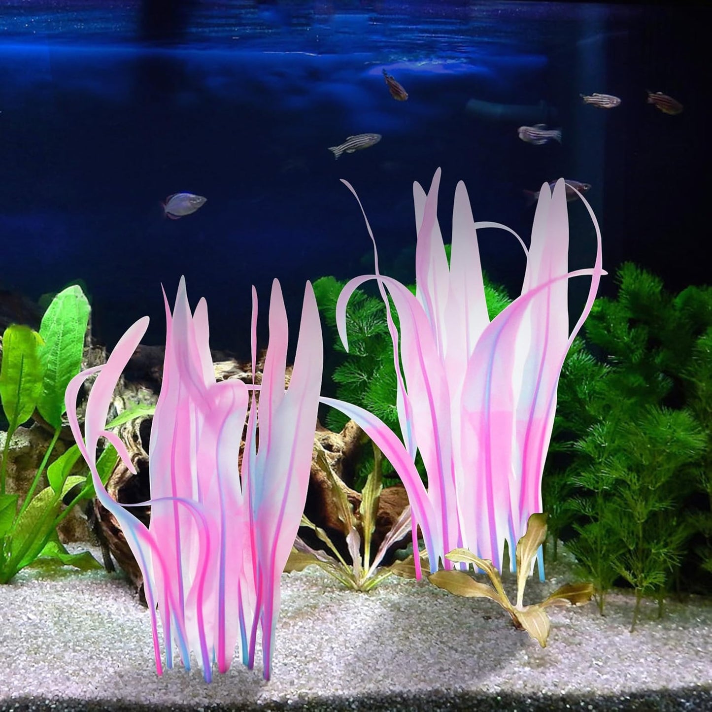 Kaiyuan Dynasty 2pc Aquarium Decor Plastic Plants Fish Tank Artificial Plants Glowing Aquarium Kelp Move with Water Flows Soft Silicone Aquatic Seaweed,7inch,Pink