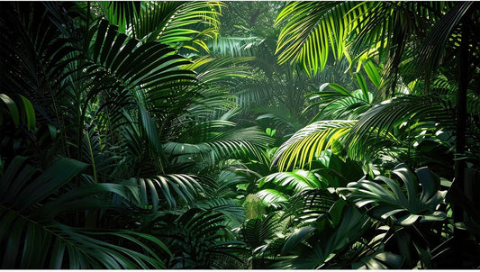 Aquarium Background Enchanting Beauty of Jungle Terrarium Backdrop Nature Jungle Green Leaf Palms Fish Tank Background Reptile Habitat Backdrop Wallpaper Poster Decor Vinyl 30x18in