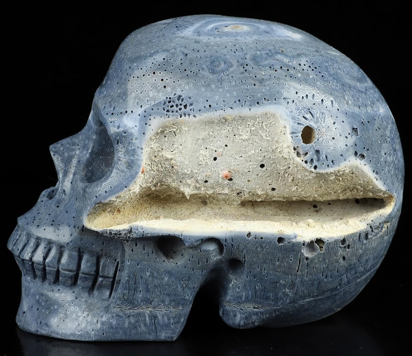 Skullis 5.0" Blue Sponge Coral Realistic Crystal Skull, Hand Carved Gemstone Fine Art Sculpture, Reiki Healing Stone Statue.2898