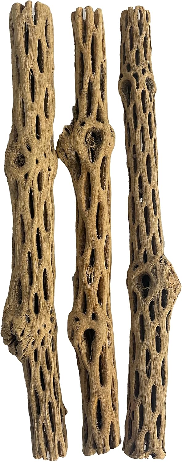 Awesome Aquatic Natural Cholla/Choya Wood 3 Pieces 12” for Shrimp Habitat and Food Treat Hermit Crabs Plecos Aquarium Decoration Lowers pH Hideouts and Chew Toys Reptiles Thorn Free Dried Organic