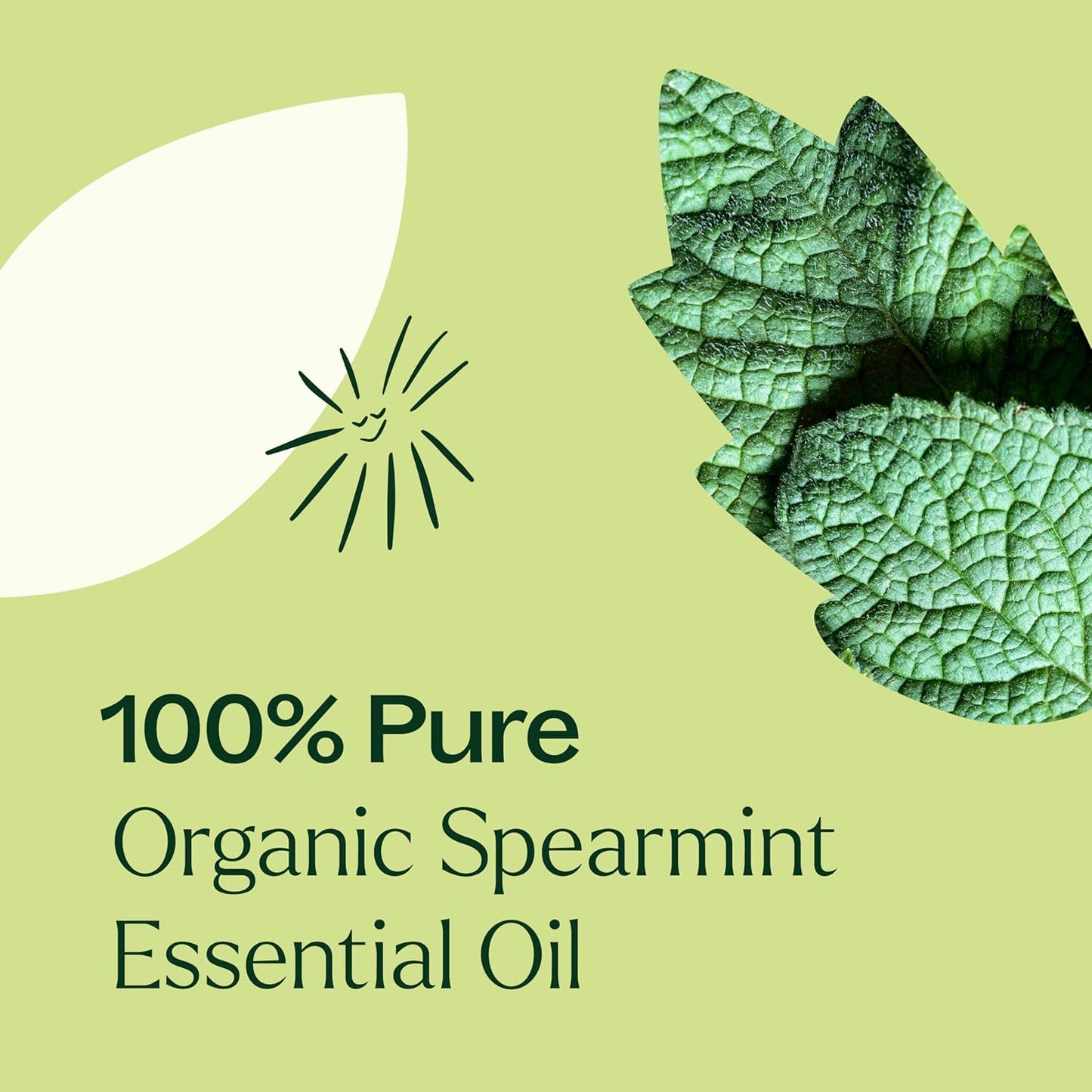 Plant Therapy USDA Certified Organic Spearmint Essential Oil 10 mL (1/3 oz) 100% Pure, Undiluted, Therapeutic Grade
