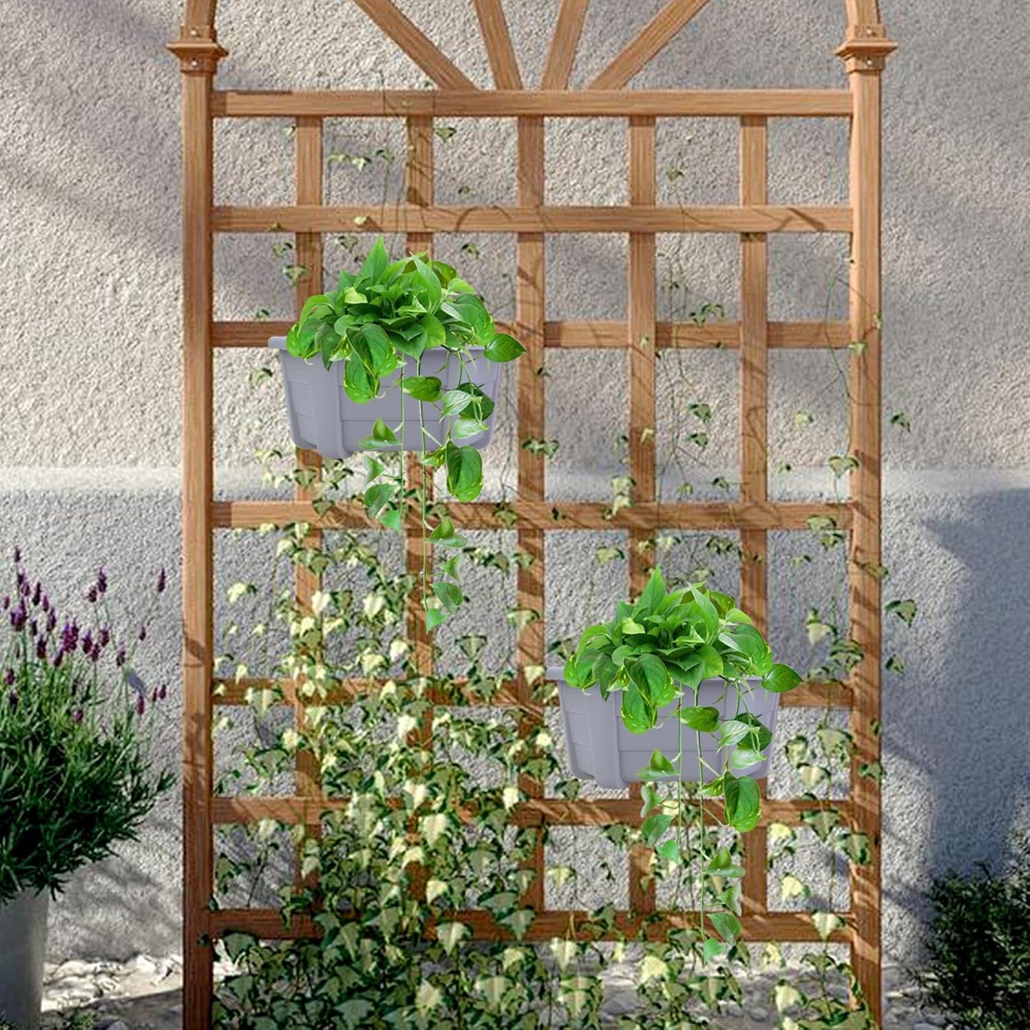 summer flower 3Pcs Hanging Plant Pots,Hanging Flower Pot with Detachable Hooks,9.84" Wall Planters for Balcony Decor Garden Yard(Gray)