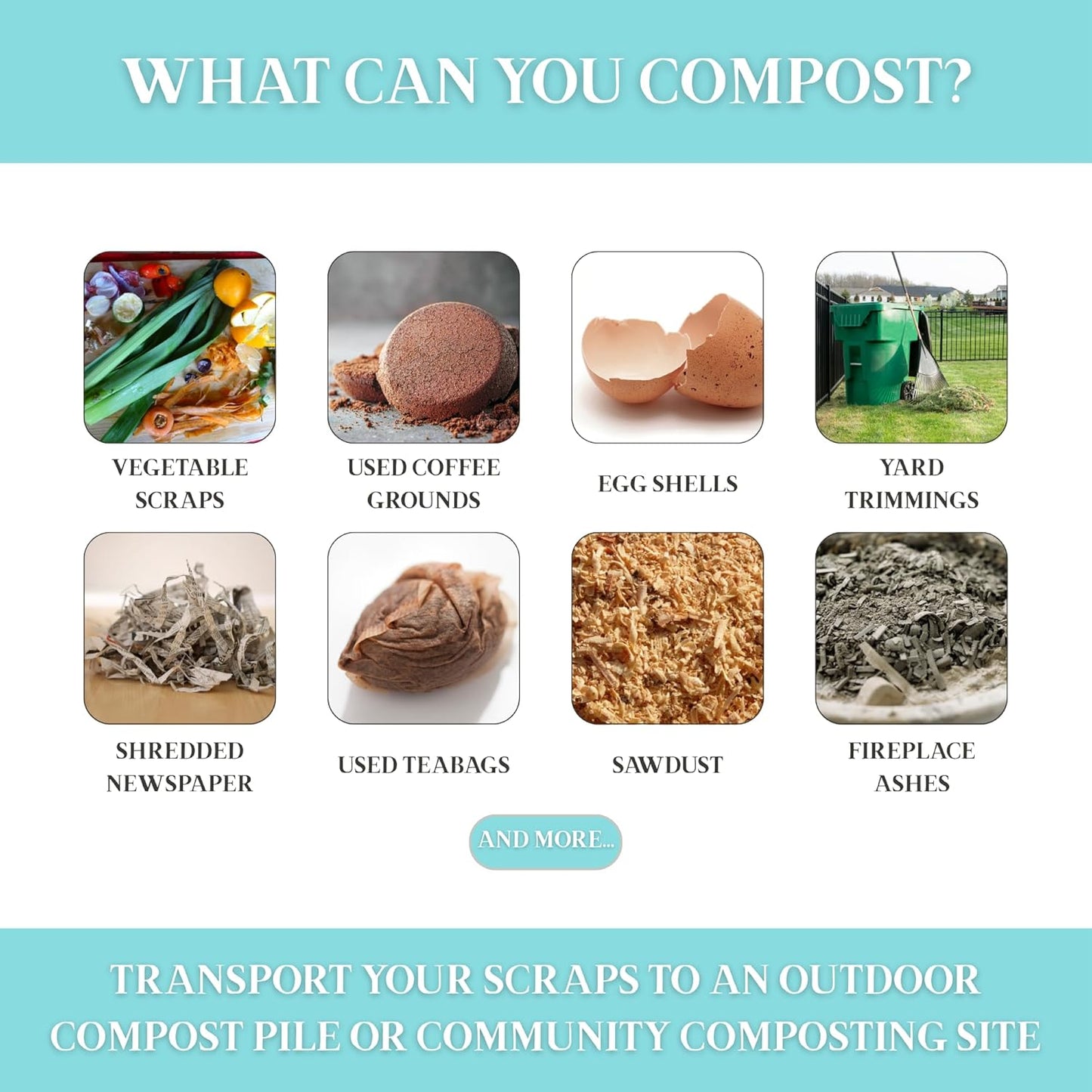 Martha Stewart Indoor Compost Bin | Countertop Composting Bucket for Kitchen | .7 Gallon Capacity | Includes Filter | Plant Based Materials | Sage Green