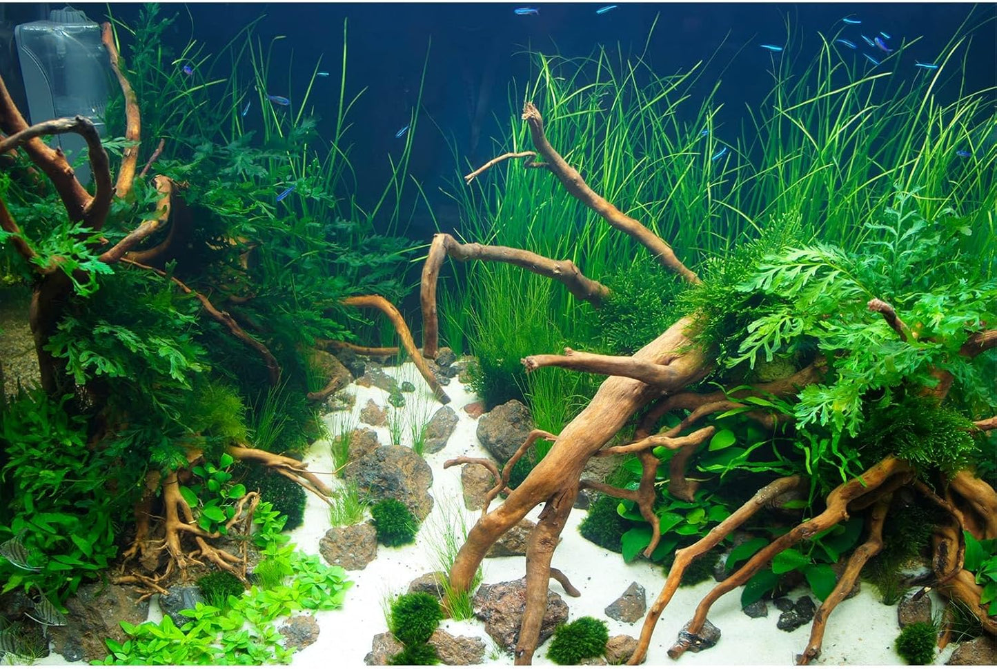 Aquarium Background Various Underwater Grass Plants Aquarium Backdrop Vivid and Fresh Green Aquatic Plants Stone River Bed and Dead Wood Yellow Stone Fish Tank Background 36x18in