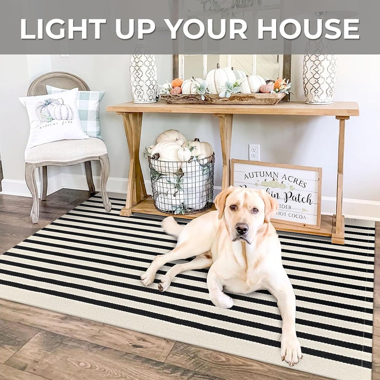 IOHOUZE Black Beige Striped Rug -3'x5' Front Door Rugs Outdoor, Washable Area Rug for Front Porch, Spring Summer Welcome Mats Outdoor Indoor, Doormat for Entryway Porch Entrance