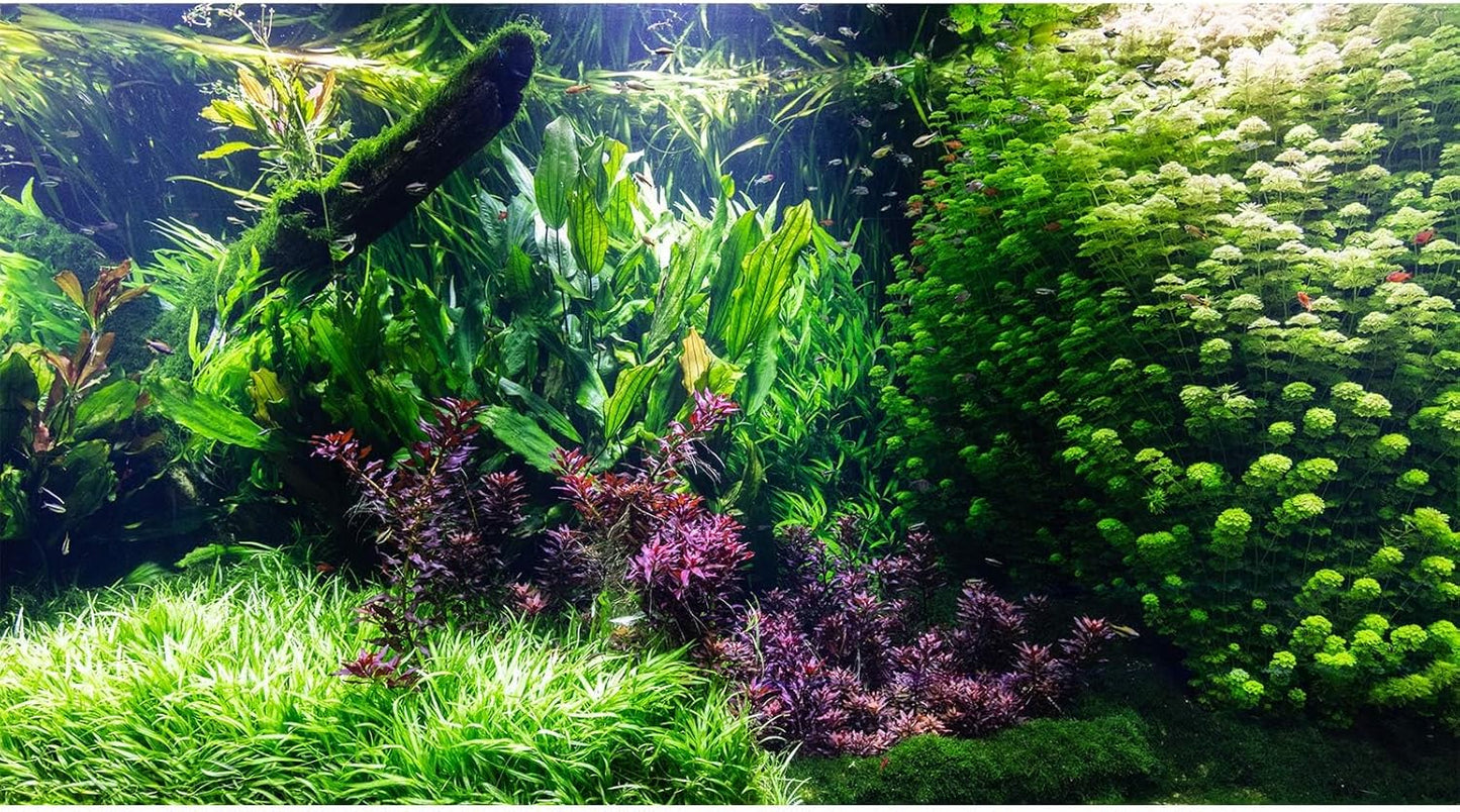 Aquarium Background Various Underwater Grass Plants Aquarium Backdrop Vivid and Fresh Green Aquatic Plants Stone River Bed and Dead Wood Tank Background Vinyl 48x18in
