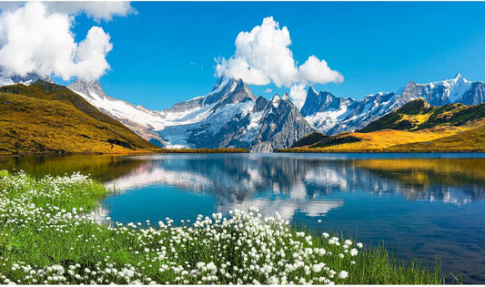 Mountains Lake Aquarium Background Bernese range View Fish Tank Background Switzerland Alps Grindelwald Valley Lake Terrarium Background Fantastic Natural Landscape Aquarium Fish Tank Decors 72x18in