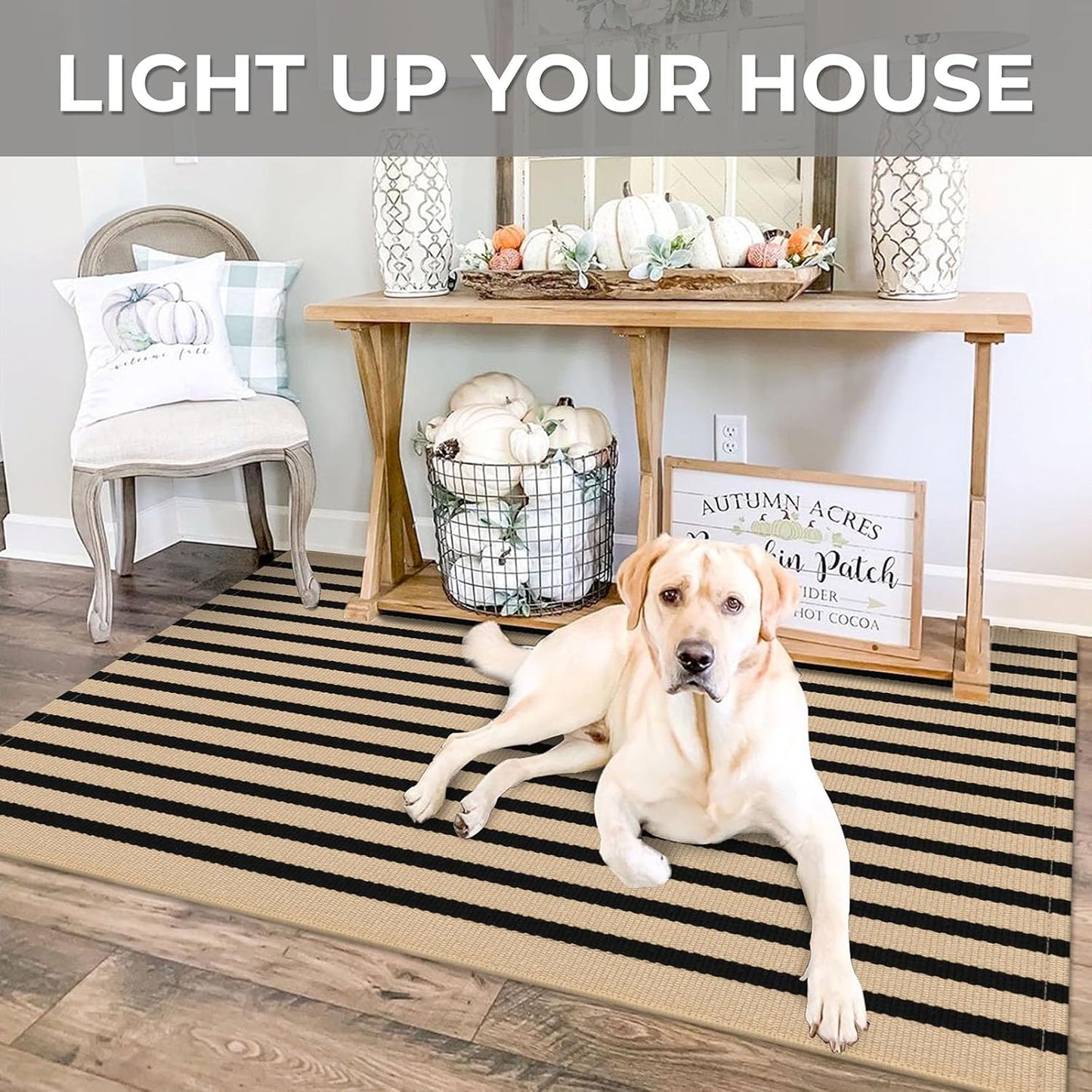 IOHOUZE Striped Area Rug 3'x5' Front Door Rugs Small Washable Area Rug for Front Porch, Spring Summer Welcome Door Mats Outdoor Indoor, Doormat for Entryway Porch Entrance, Tan/Black