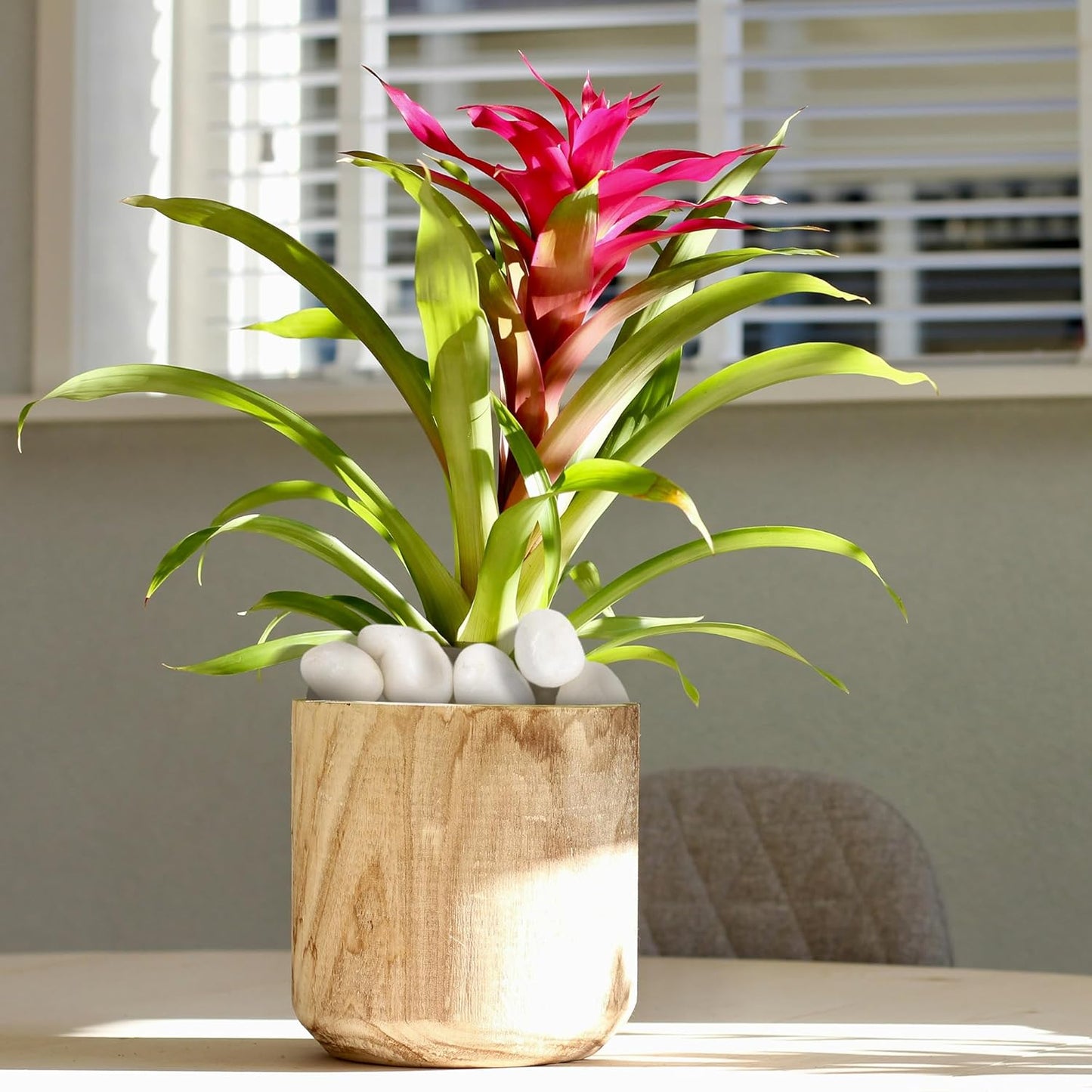 5lbs Large Pebbles for Indoor Plants, 2-3 Inch Natural White River Rocks for Aquarium, High Polished Decorative Stones for Vase Filler Fish Tank Landscaping Garden