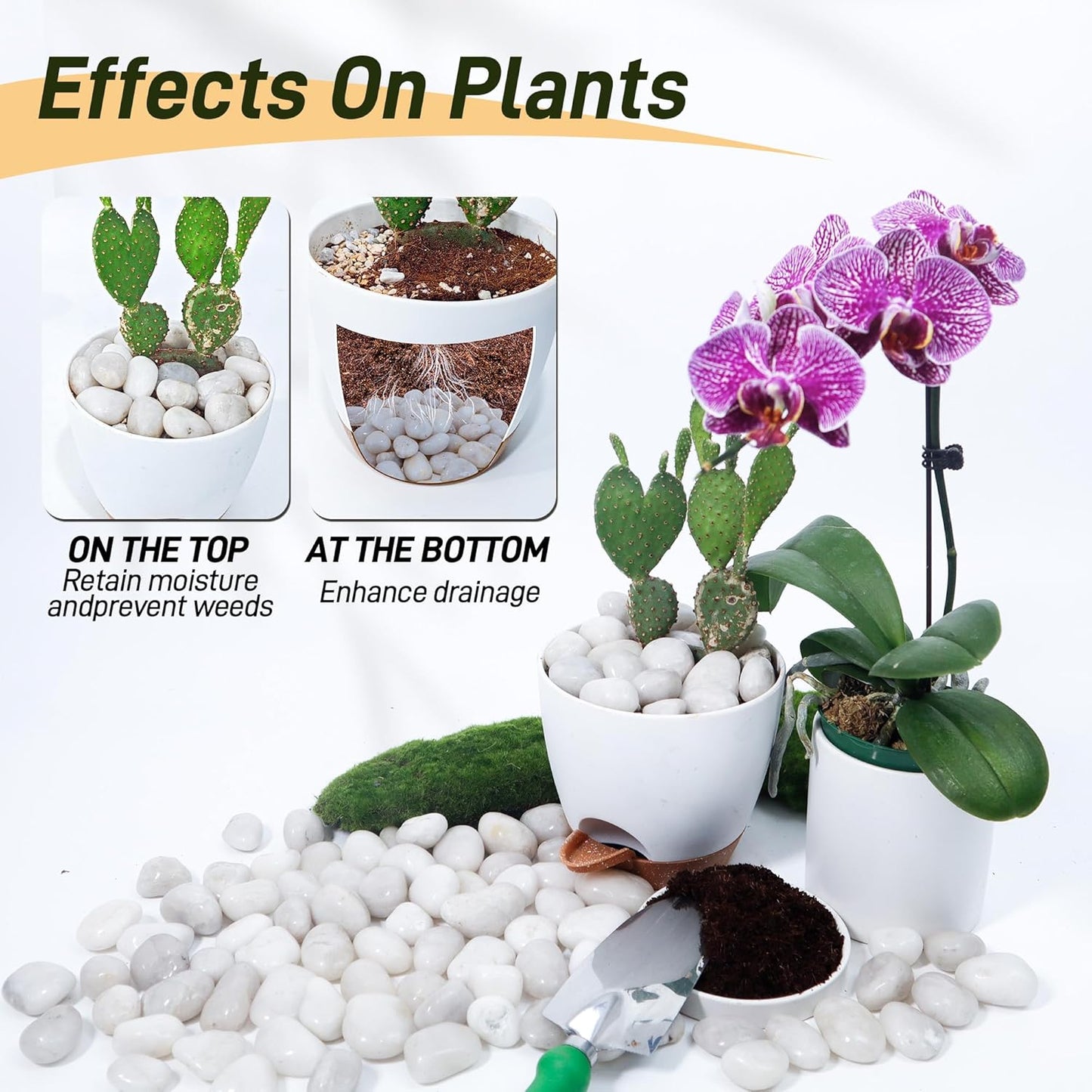 45lbs White River Rocks, 1-2 Inch Natural Pebbles for Indoor Plants, Polished Pebbles for Garden Landscaping Aquariums Vase Fillers and Outdoor Decorative Stones