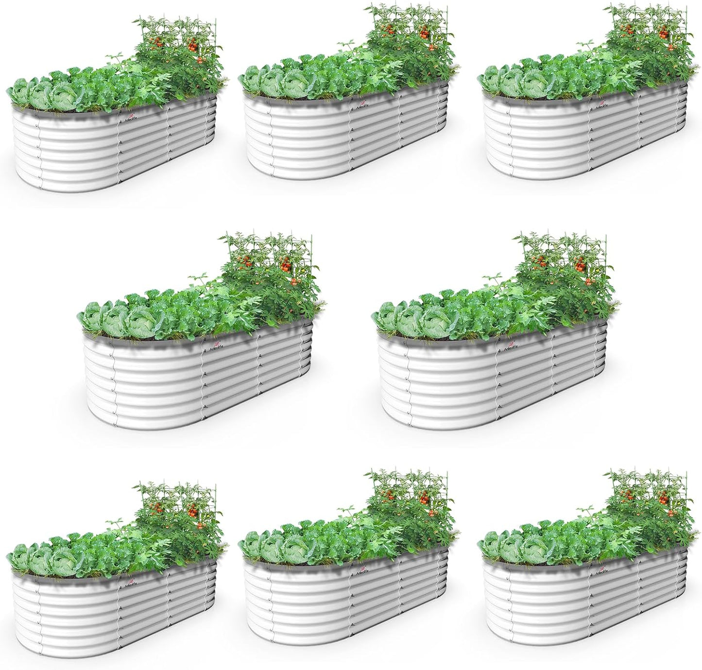 A ANLEOLIFE 6X3X2 ft Galvanized Raised Garden Beds Outdoor-8 Pack, Oval Large Metal Deep Root Planter Box for Planting Vegetables Flowers Herb, Anti-Rust & Easy-Setup, Antique White