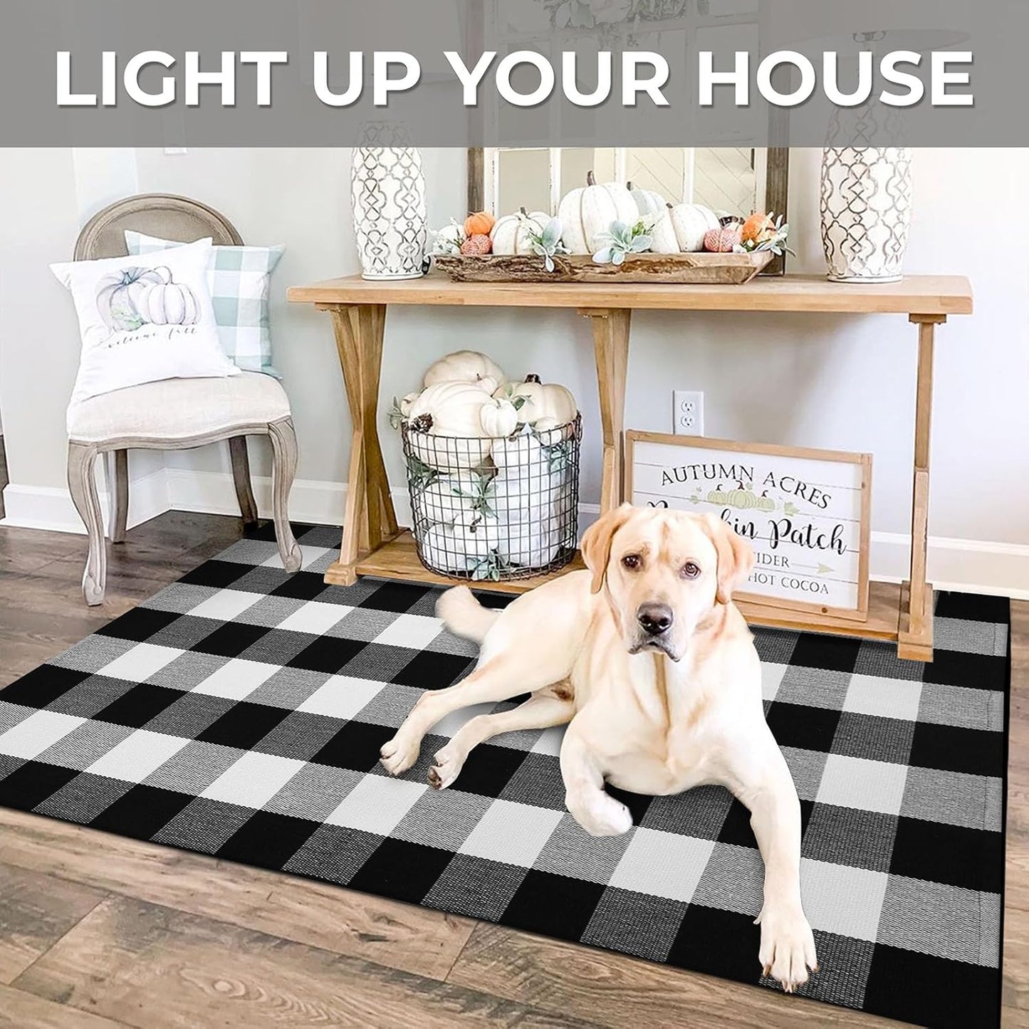 IOHOUZE Buffalo Plaid Checkered Rug 3x5 Ft Front Door Mats, Washable Area Rugs for Front Porch Decor, Spring Summer Welcome Mats Outdoor, Black White Rug for Farmhouse/Entryway/Home Entrance