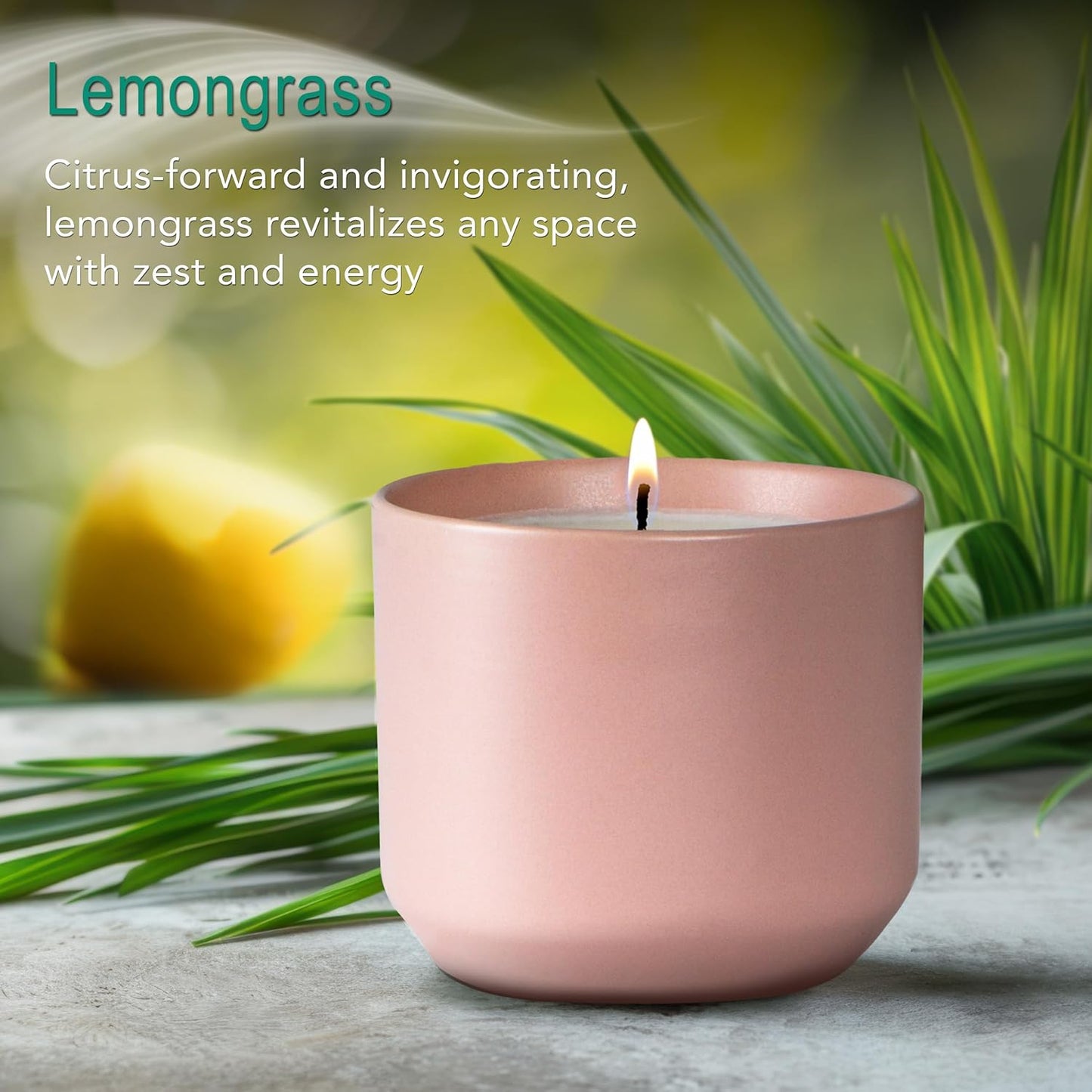 The Growing Candle, Lemongrass Scented, 8oz Ceramic Pot, Single Wick Aromatherapy Candles, 100% Soy for Women and Men, Adelyn