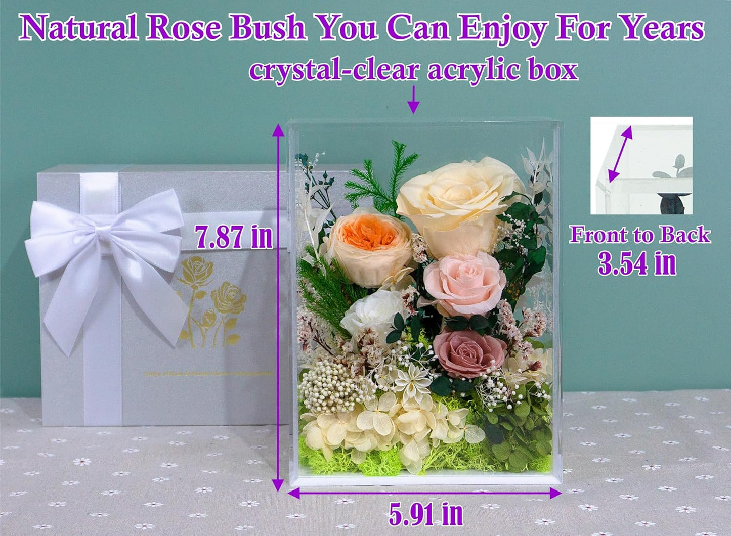 Valley of Rain & Forest Long-Lasting Real Flowers, Handcrafted Preserved Rose Bush For you to Send Love for All Occasions, Floral Arrangement for Indoor Decoration (Yellow Champagne Rose)