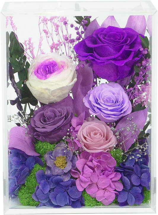 Valley of Rain & Forest Long-Lasting Real Flowers, Handcrafted Preserved Rose Bush For you to Send Love for All Occasions, Floral Arrangement for Indoor Decoration (Dark Purple Rose)