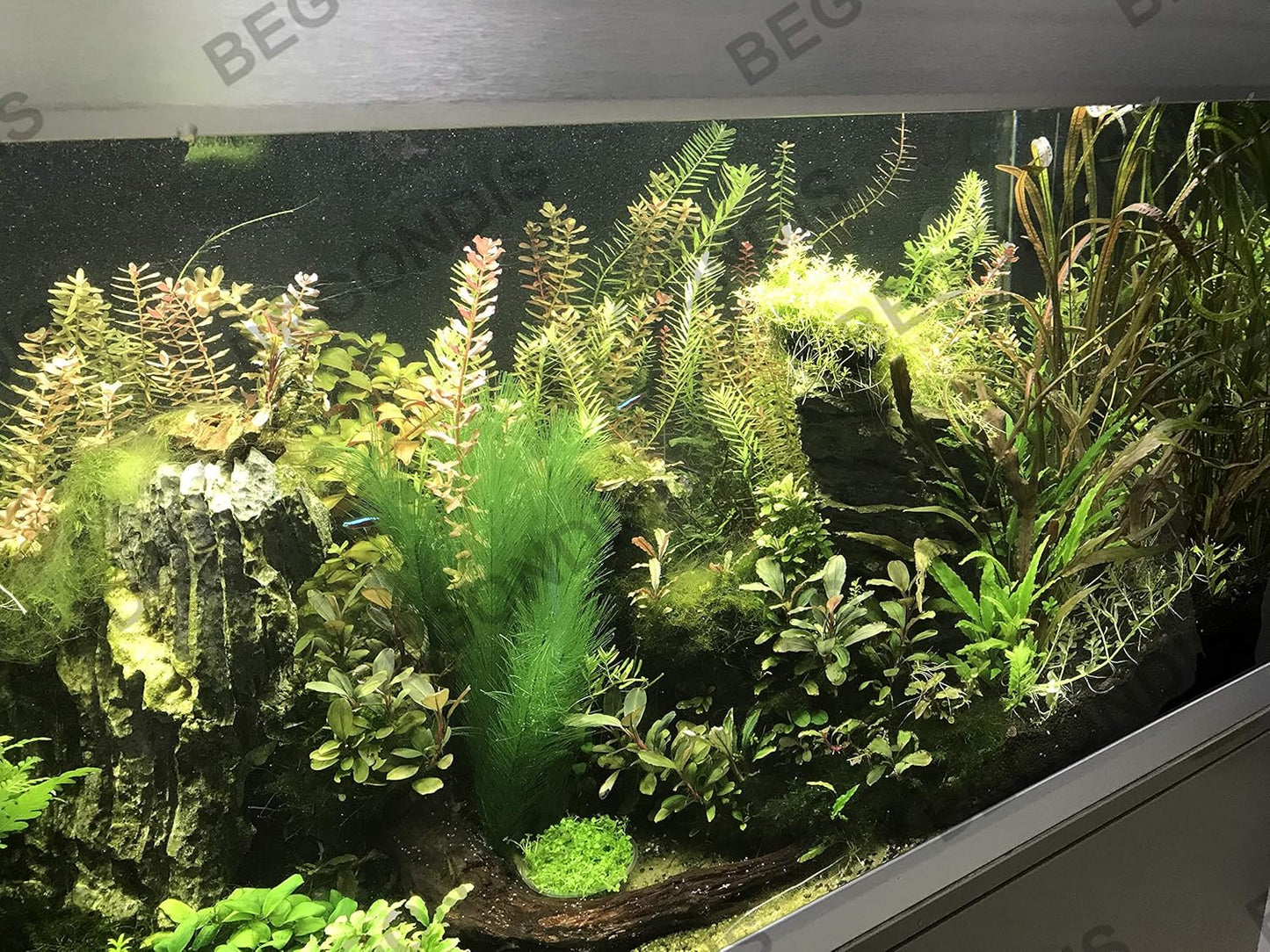 BEGONDIS Aquarium Decorations 3Pcs Fish Tank Artificial Green Water Plants Made of Silk Fabrics Plastic