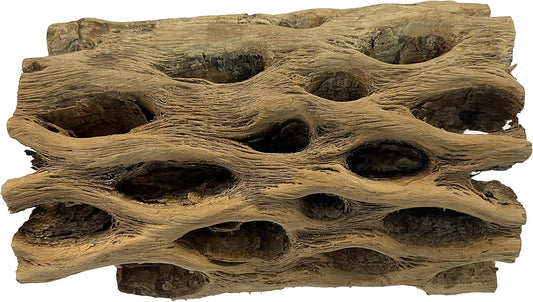 Awesome Aquatic 3 in Plus Thick XL Teddy Bear/Chain Fruit/Buckhorn/Staghorn Cholla Wood Hollow Tube Wood Cactus Skeleton Tubes 3” Plus Thick/Diameter (6 in x 3 in Plus Diameter)
