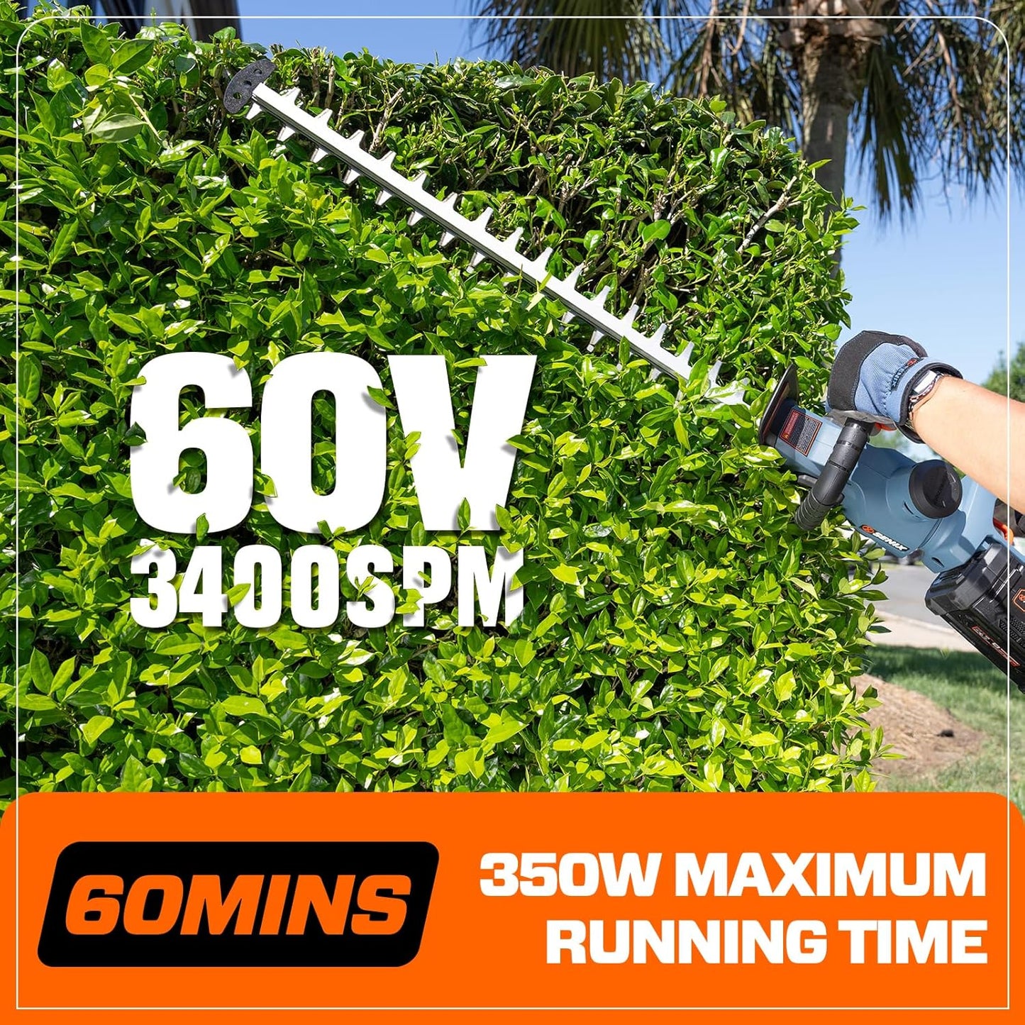 SENIX X6 60V Max* Battery Powered 26" Cordless Hedge Trimmer with Brushless Motor, Double-Sided Dual Action Blades, 1-1/4" Cutting Capacity, 3.0 Ah Lithium-ion Battery & Charger Included (HTX6-M1)