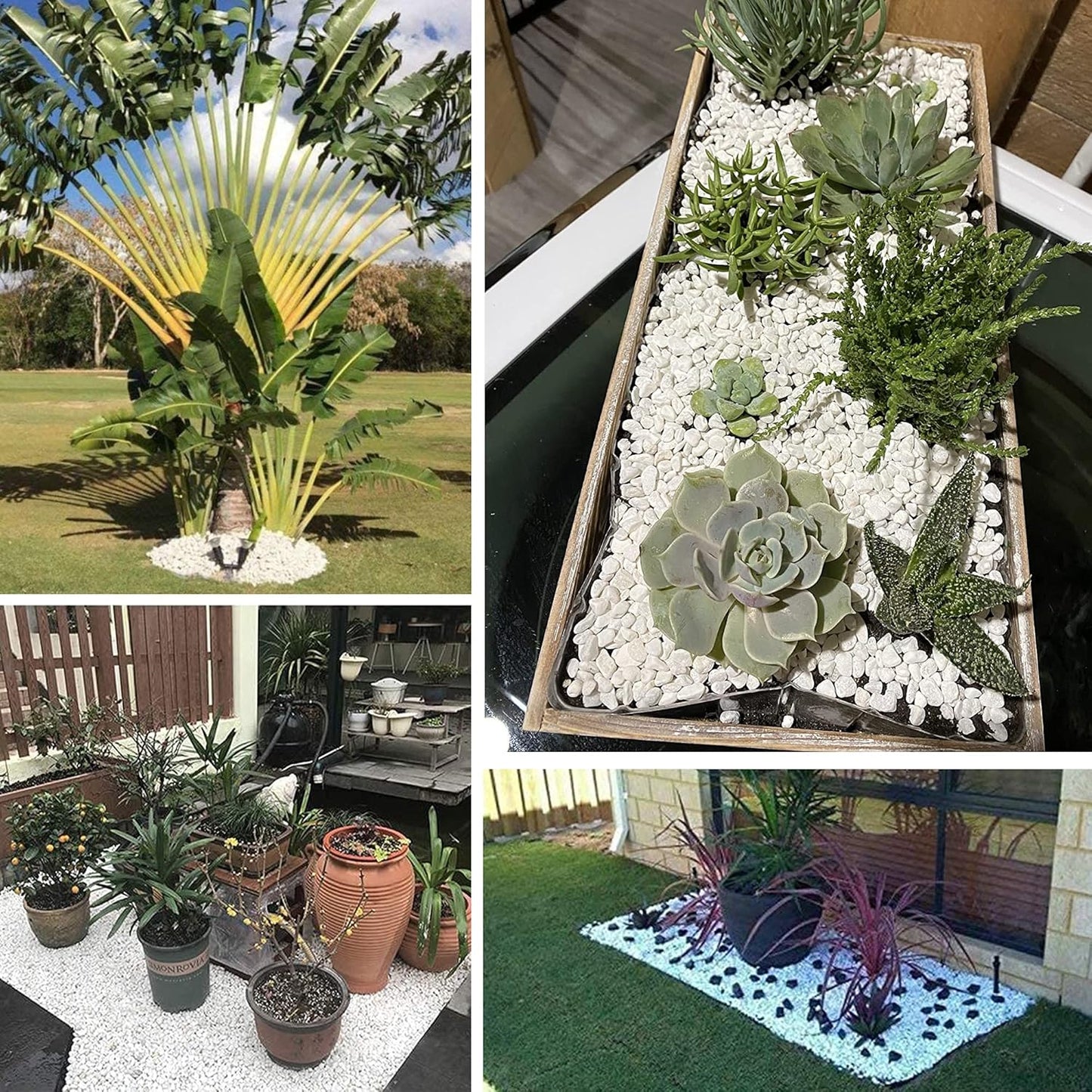 45lb White Rocks for Plants,Potting,Succulents Aquarium Fish Tank Garden Vases Decorative Pebbles Gravel Rocks Stones