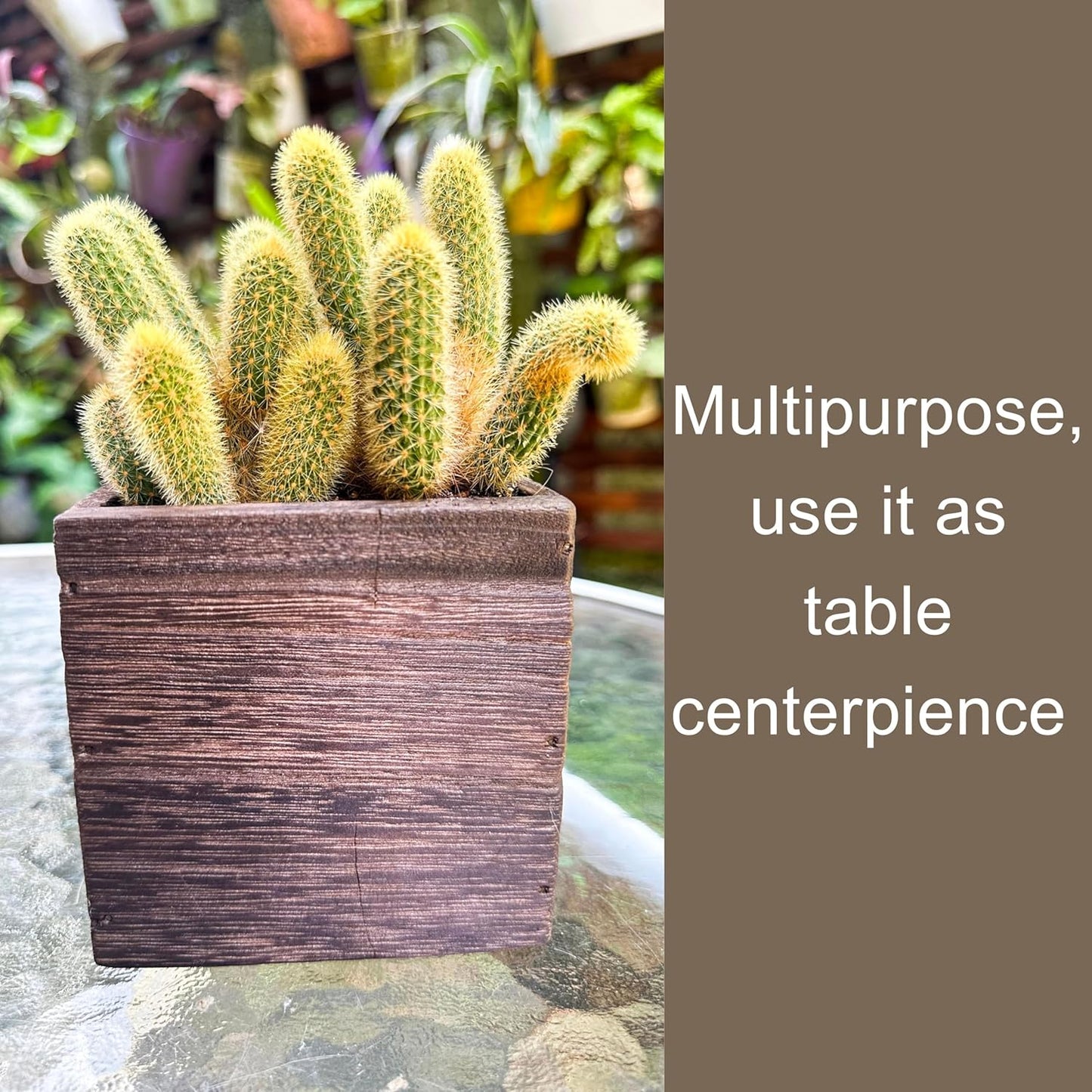 LaLaGreen Wood Planter Boxes (4x4 Inch, 4 Pack) Small Square Wooden Wall Mounted Flower Pot for Indoor Plants, Window Box Mount Hanging Herb Planters Outdoor Plant Holder Vertical Garden Home Decor