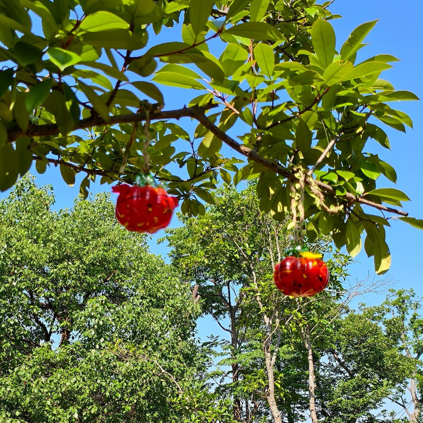 Small Glass Hummingbird Feeders for Outdoors Hanging - 2PC X Red Hand Blown Glass Pumpkin Nectar Feeding, 2 Flowers Feeding Ports, Decor for Garden/Backyard Outside