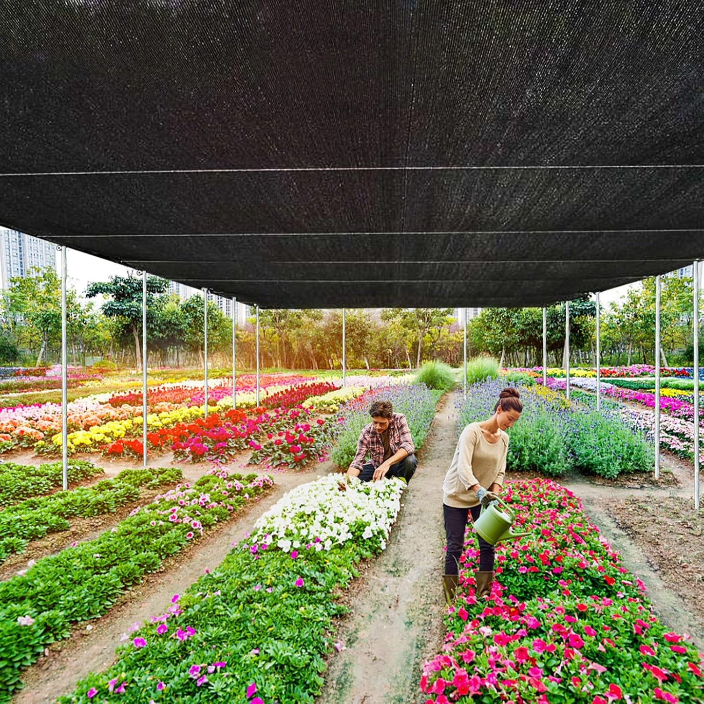 QLOFEI Shade Cloth for Patio, 80-90% Sunblock Shade Sails for Garden Pergola Outdoor, Sunshade Neting with Grommets for Kennel Chicken Coop Lawn Easier to Hang Cover, 10x20 FT