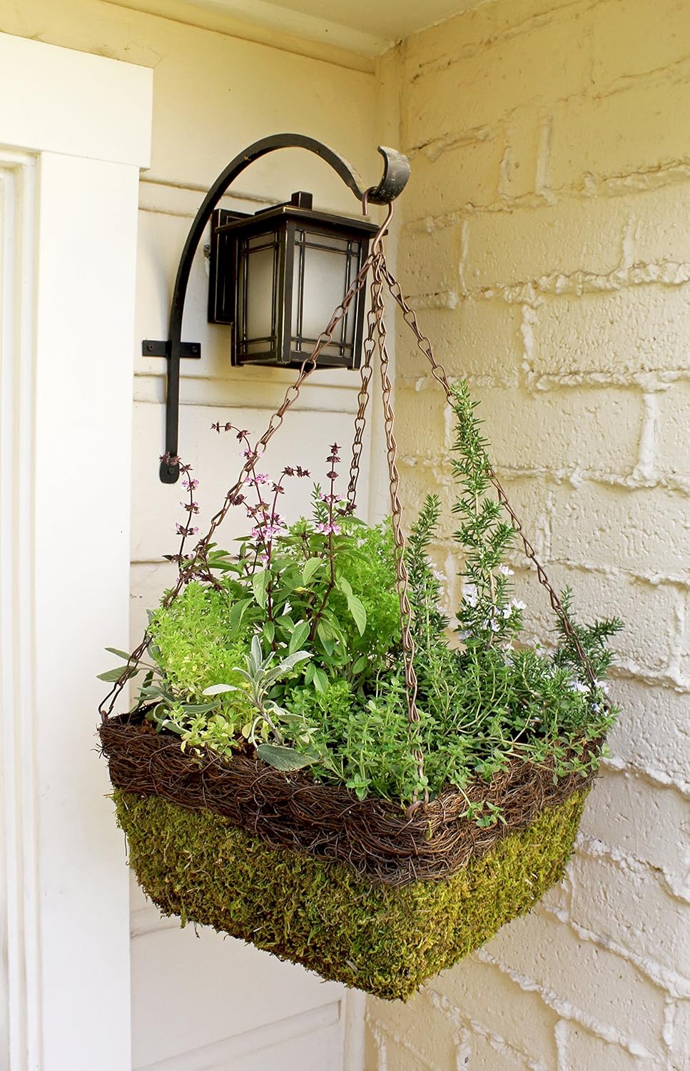 SuperMoss (29327 MossWeave Hanging Basket | Outdoor Hanging Planter with Moss | Decorative Plant Hanger for Porch, Balcony, Garden & Home Décor, Square with Wicker Rim, Set of 3 (S/M/L), Green