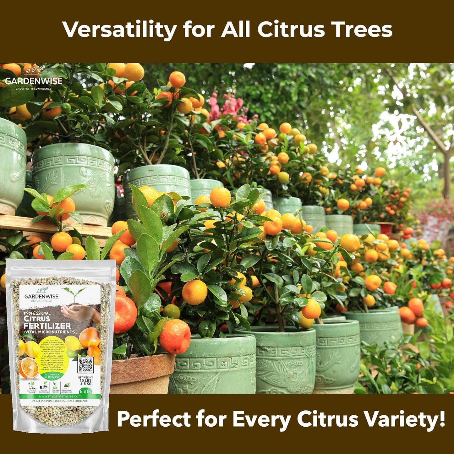 Professional Citrus Fertilizer + Vital Micronutrients; Perfect Balanced NPK for All Citrus; for Indoor and Outdoor Plants; Orange, Lime, Avocado and Lemon Tree Fertilizer (3 QUARTS)