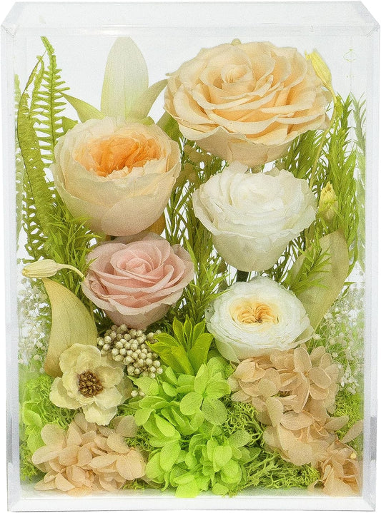 Valley of Rain & Forest Long-Lasting Real Flowers, Handcrafted Preserved Rose Bush For you to Send Love for All Occasions, Floral Arrangement for Indoor Decoration, Champagne Yellow Rose Spring-themed