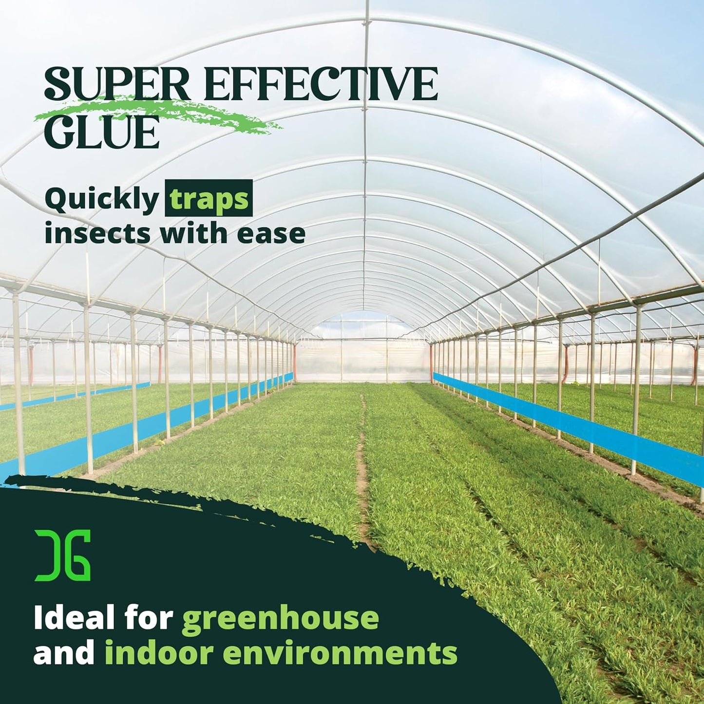 Catchmaster GRO XL AG Roll 4PK, Double Sided Adhesive Fly Tape Strips, Fungus Gnat Sticky Trap for Greenhouse, Garden, Nursery, Pest Control Gardening Supplies, Pet Safe Insect Trap, 328' x 6", Blue